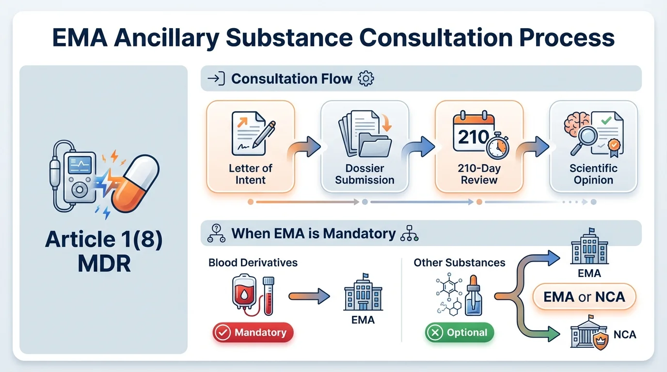 Infographic showing the complete EMA ancillary substance consultation workflow from letter of intent through scientific opinion, with timelines and key decision points