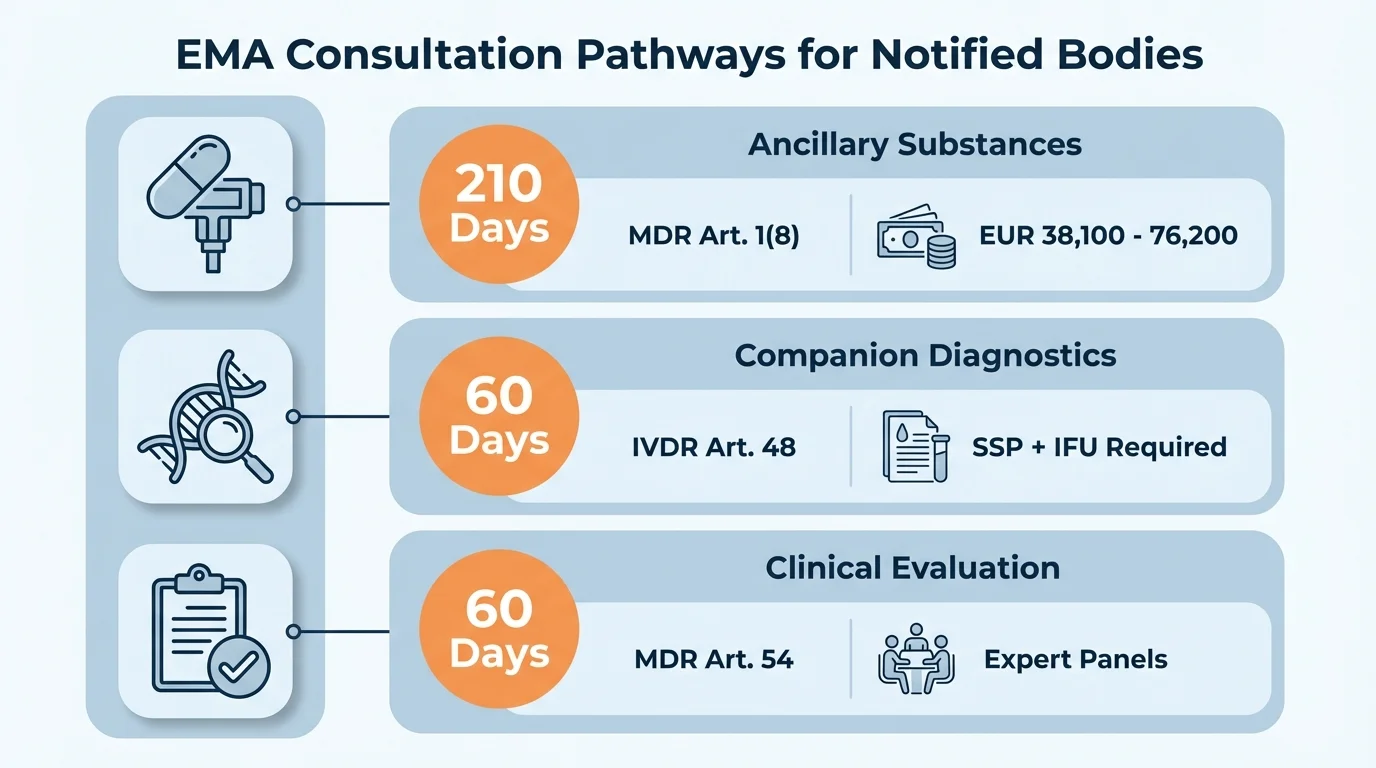 Infographic showing three EMA consultation pathways for Notified Bodies — ancillary substance (210 days), companion diagnostic (60 days), and clinical evaluation (60 days) — with fee ranges and decision triggers