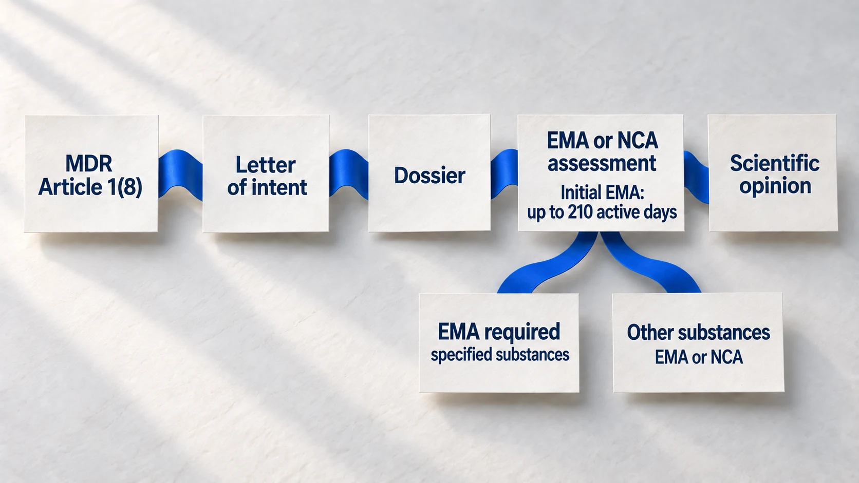 Paper process diagram for MDR Article 1(8) ancillary-substance consultation, showing submission, scientific assessment and the qualified initial EMA timetable.
