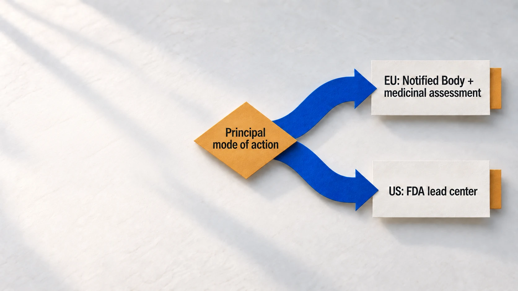 EU dual assessment compared with a US lead-center combination-product route.