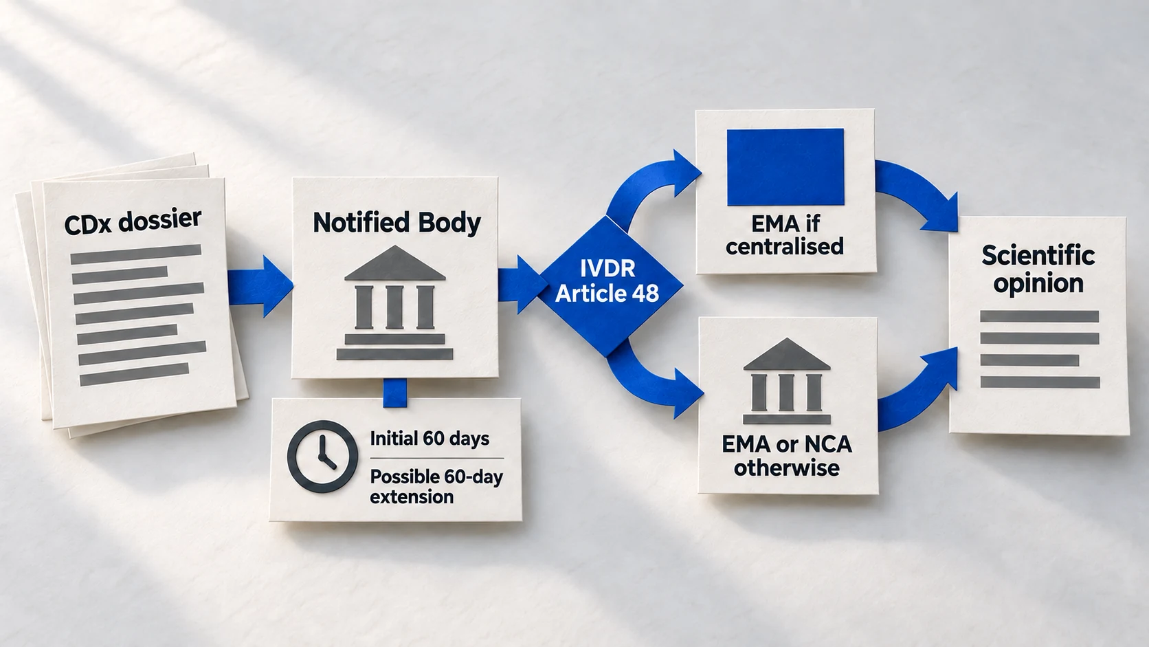 Paper IVDR companion-diagnostic consultation flow with notified-body assessment, conditional EMA or national authority route and a qualified 60-day opinion period.