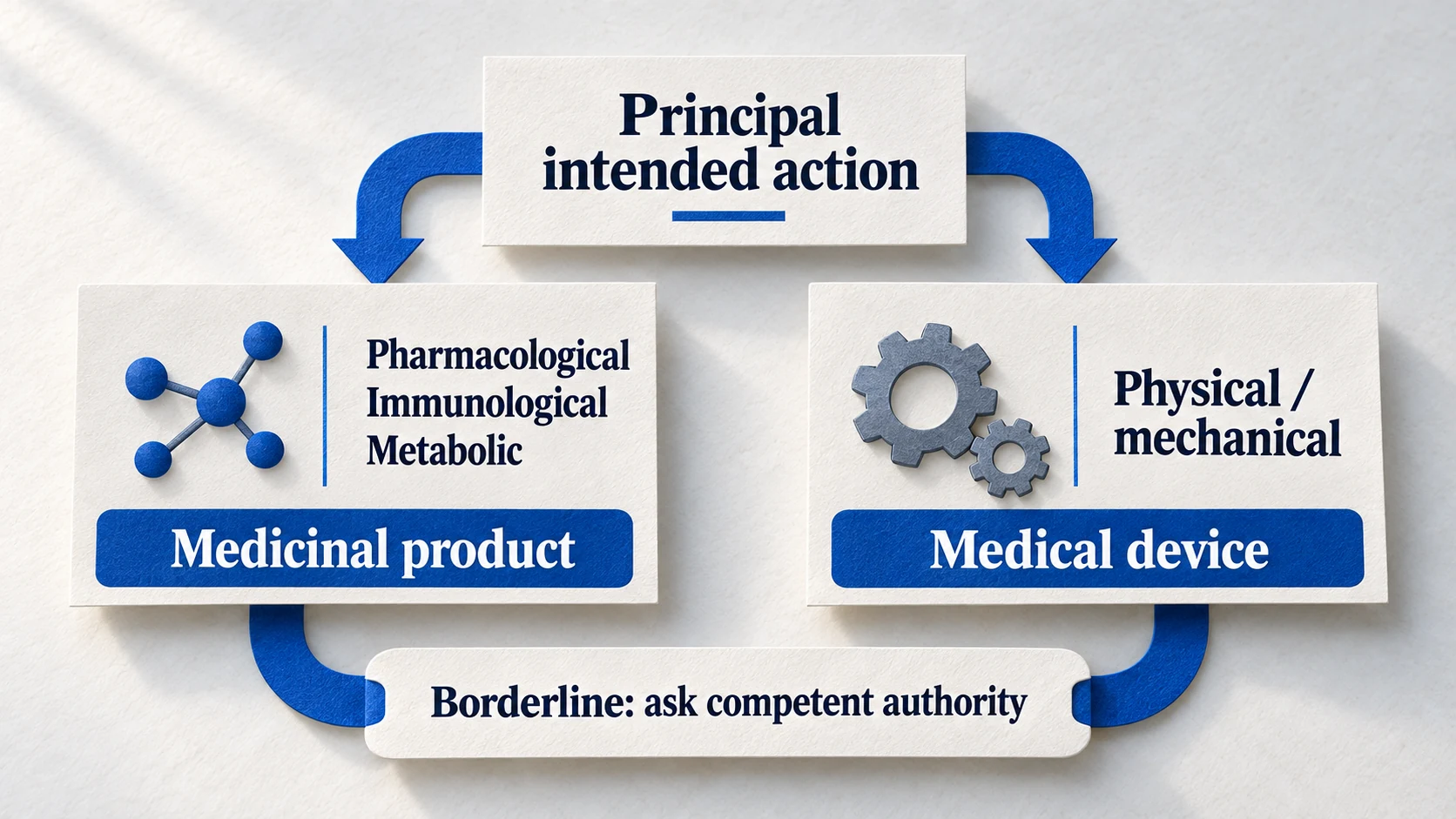 Decision folio separating medicinal and medical-device classification by the product’s principal intended action, with a borderline referral.